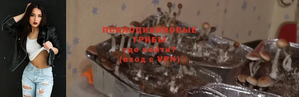 а пвп мука Армянск