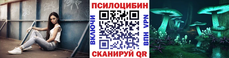 Галлюциногенные грибы Psilocybe Ступино