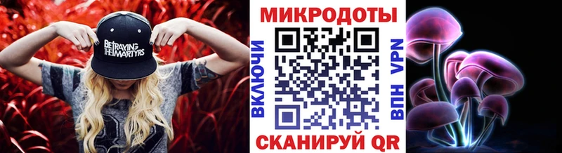 Псилоцибиновые грибы Psilocybine cubensis  Ступино 